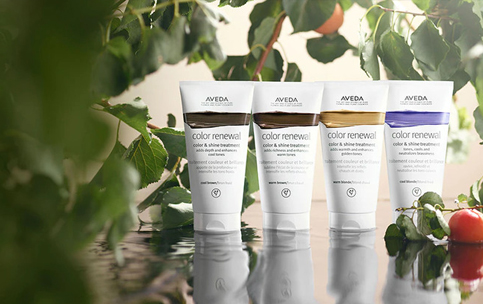 Color Renewal · Aveda | Coserty.com